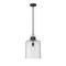 Z-Lite Kinsley 1 Light Pendant, Matte Black And Clear Seeded 340P12-MB - alternate 5